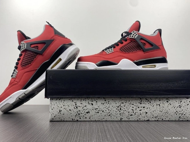 308497-603 Bravo Jordan Retro Toro 4 0808